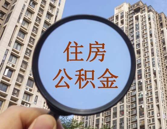 锦州退休后查不到公积金明细了吗（退休后公积金查询不到原因）